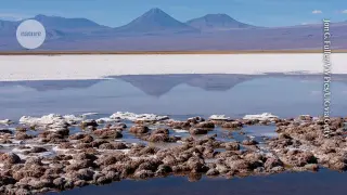 Earth and Life: A Four-Billion-Year Dialogue