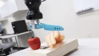 Binghamton University researchers demonstrate how a two-letter trigger can hijack robot task planning