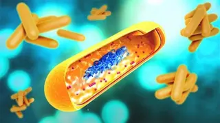 Johns Hopkins Develops Nasal DNA Vaccine to Augment TB Treatment