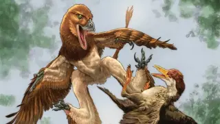 New Microraptorine Found in China Expands Feathered-Dino Range