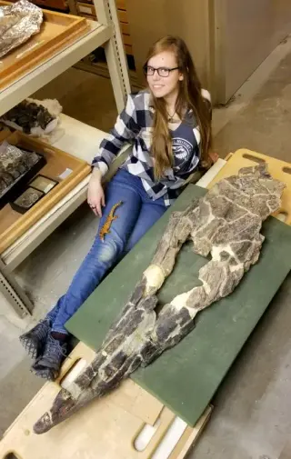 Oceanic Juggernaut: a dinosaur‑era marine reptile crowned the sea’s apex predator