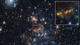 JWST Decodes the Universe's Dust Origins by Studying a Nearby Dwarf Galaxy