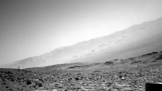 Mars Jellyfish Mystery Triggers Online Theories, Likely a Glitch