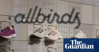 Allbirds pivots to AI, rebrands as NewBird AI, sparking rally in shares