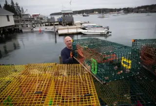 Canada Exempts Seafood from Tariffs, Saving Maine Lobster From Hit