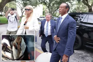 Tiger Woods gets five-year driving ban in Florida DUI deal