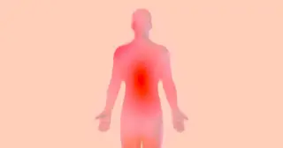 Inflammation: the immune system's life-sustaining spark that can drive disease