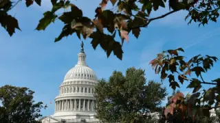 GOP Leaders Pivot to Damage Control as Trump's Plunge Threatens House Majority