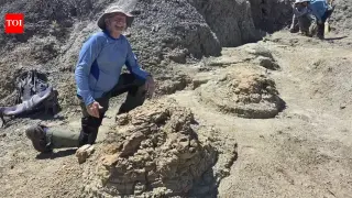 High school teacher uncovers first adult T. rex trackway in North Dakota