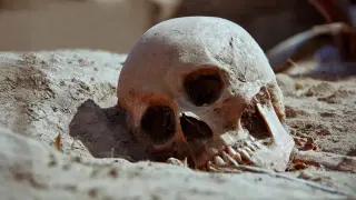 Ancient plague genomes reveal Europe’s 400-year cycle of outbreaks after the Black Death