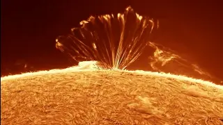 Backyard timelapse reveals edge-on solar plasma loop arcade