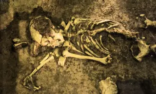 7,000-Year-Old Libyan Skeletons Uncover a Hidden North African Lineage