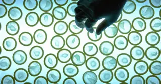 Condom Giant Karex Hikes Prices as Iran-Linked Disruptions Roil Supply