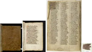 New study suggests vast erasure of medieval writing—up to 60% of works and 95% of manuscripts lost