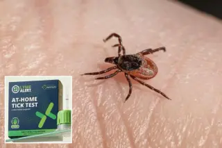 TickCrusher: At-home tick test promises Lyme-bacteria results in minutes