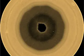 Saturn's south pole harbors a ten-sided cloud storm
