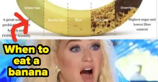 Fifty Fascinating Charts That Make the World Make Sense