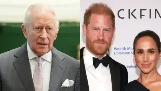 King Charles Feels 'Gutted' as Months Pass Without Meeting Grandchildren in UK