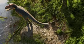 Teacher Uncovers 23-Foot Tyrannosaurus Trackway in North Dakota