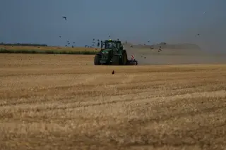 Heat waves deepen Europe's drought, shrinking crops from the Netherlands to the Balkans