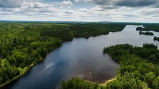 Walz uses executive authority to shield Boundary Waters from copper mining