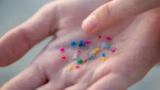 Microplastics Found in Every Artery Sample, Study Raises Cardiovascular Questions