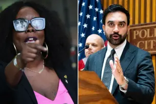 Lone Democrat Breaks With NYC Budget Over Equity Gaps