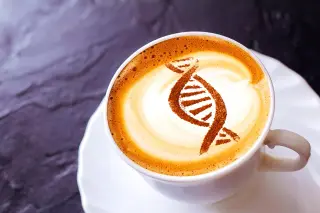 Coffee Activates an Ancient Cellular Energy Switch Linked to Longevity
