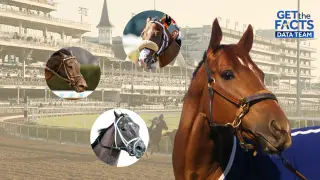 Secretariat's bloodline threads through nearly every 2026 Kentucky Derby entrant