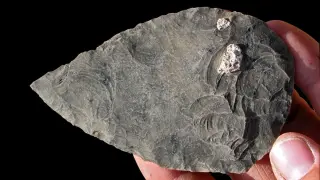 Open-Air Ethiopian Site Reveals 100,000-Year-Old Humans and Diverse Deaths