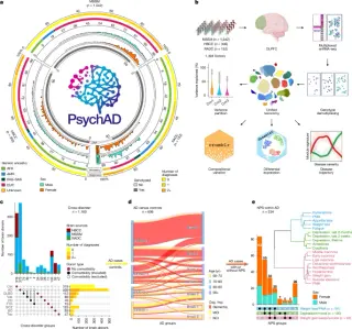 PsychAD Consortium Maps 6.3 Million Brain Cells to Link Genetic Risk with Cellular Disease Mechanisms