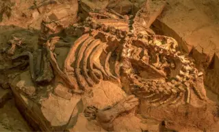 Thailand Unveils 90-Foot Sauropod Nagatitan: Southeast Asia's Largest Dinosaur