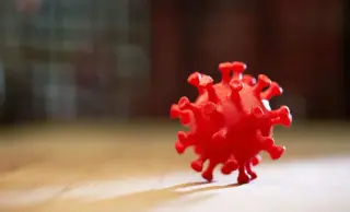 New Common Weakness in Enteroviruses Sparks Broad-Spectrum Drug Hope