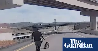 Utah Police Dog Bruno Recovers at Home After Fatal Leap From Highway Overpass