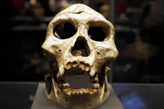 Poland’s 100,000-year-old Neanderthal teeth reveal a connected family and wide maternal lineage