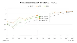 China's NEV Retail Slump Persists Amid Export Boom