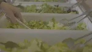Florida reports 400-plus Cyclospora cases tied to iceberg lettuce recall