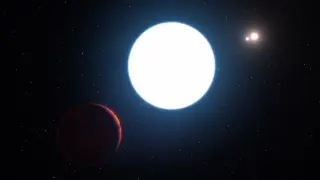 Edge-on Coplanar Triple-Star TIC 295741342 Illuminates How Such Triples Form