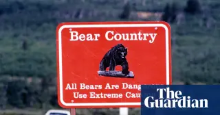 Glacier National Park records first fatal bear attack since 1998