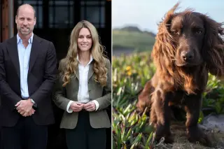 Otto the Cocker Spaniel Becomes Royal Family’s Newest Member