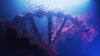Hidden DNA Shapes in Humans and Apes Redefine Genome Architecture