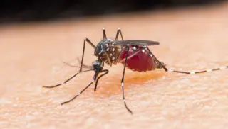Crowdfunded $1,000 laser mosquito zapper hits production amid safety-certainty questions