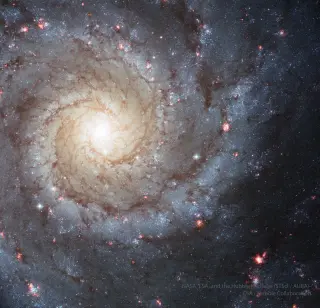 M74: A Face-On Masterpiece of Spiral Design