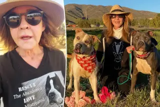 Linda Blair speaks out as cops inspect alleged 100-dog kennel at California property