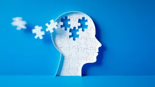 Aging Brain Shifts from Detail to Wisdom, Researchers Argue