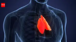 Thymus Health: AI-Reading Immune Gauge Linked to Longer Life and Lower Disease Risk