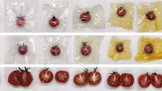Pumpkin Peel-Based Nanomaterial Promises Plastic-Free Food Packaging