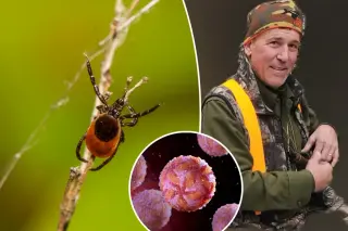 Nonverbal After Tick Bite Highlights Rising Powassan Threat