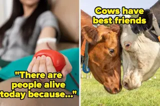 Brighten Your Day with 22 Real-Life Wonders
