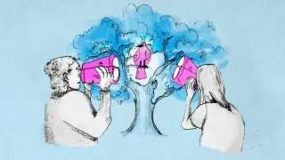Birdwatching Reshapes Brain Structure and Slows Cognitive Decline